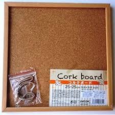 Cork Board 25*25Cm